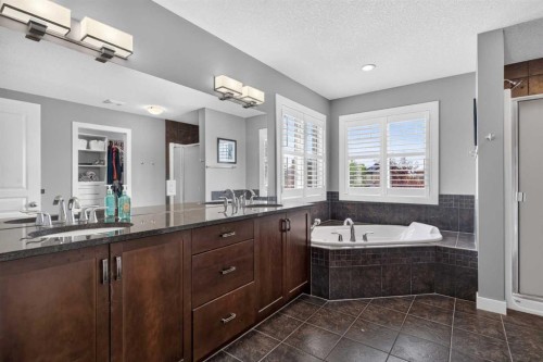 234 Pantego Way Nw, Calgary, AB - Indoor Photo Showing Bathroom