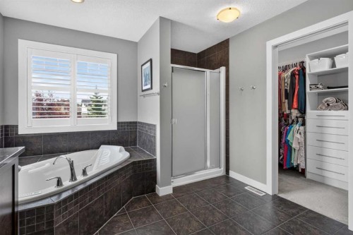 234 Pantego Way Nw, Calgary, AB - Indoor Photo Showing Bathroom