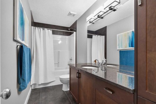 234 Pantego Way Nw, Calgary, AB - Indoor Photo Showing Bathroom