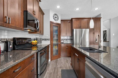 234 Pantego Way Nw, Calgary, AB - Indoor Photo Showing Kitchen With Stainless Steel Kitchen With Double Sink With Upgraded Kitchen