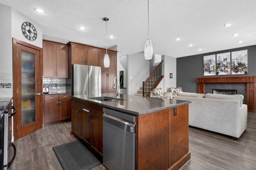 234 Pantego Way Nw, Calgary, AB - Indoor Photo Showing Kitchen With Stainless Steel Kitchen With Double Sink With Upgraded Kitchen