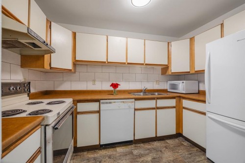 417-333 Garry Crescent Ne, Calgary, AB - Indoor Photo Showing Kitchen With Double Sink