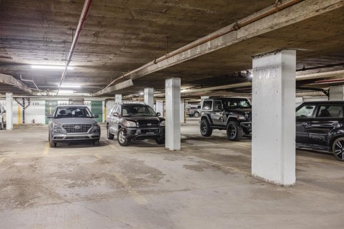 417-333 Garry Crescent Ne, Calgary, AB - Indoor Photo Showing Garage