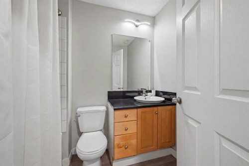 176 Taracove Estate Drive Ne, Calgary, AB - Indoor Photo Showing Bathroom
