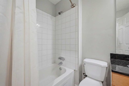 176 Taracove Estate Drive Ne, Calgary, AB - Indoor Photo Showing Bathroom