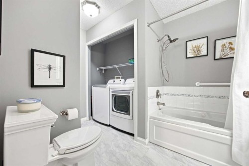 128 Sienna Park Green Sw, Calgary, AB - Indoor Photo Showing Laundry Room