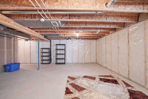 52 Sunrise Way, Cochrane, AB - Indoor Photo Showing Basement