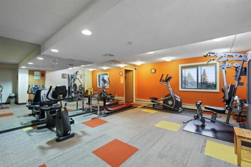 803-5204 Dalton Drive Nw, Calgary, AB - Indoor Photo Showing Gym Room