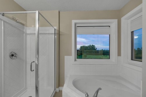 112 Pinto Lane Se, Airdrie, AB - Indoor Photo Showing Bathroom