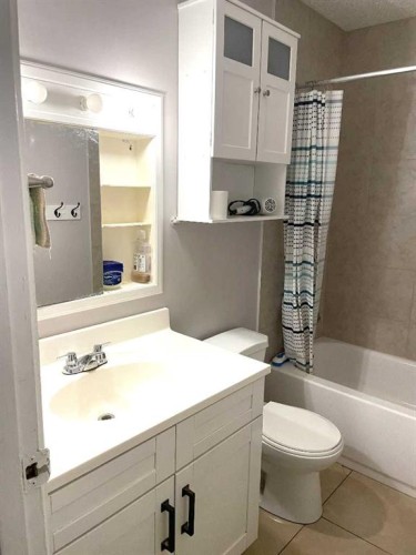 1611 Olympia Drive Se, Calgary, AB - Indoor Photo Showing Bathroom