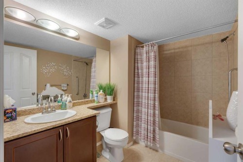 116-428 Chaparral Ravine View Se, Calgary, AB - Indoor Photo Showing Bathroom