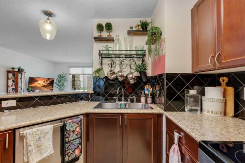 116-428 Chaparral Ravine View Se, Calgary, AB - Indoor Photo Showing Kitchen With Double Sink