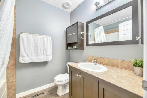 156 Aspen Creek Crescent, Strathmore, AB - Indoor Photo Showing Bathroom