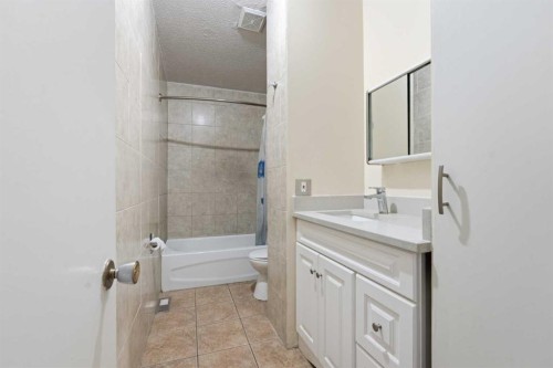 254 23 Avenue Ne, Calgary, AB - Indoor Photo Showing Bathroom