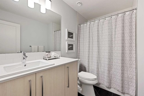 9941 Huxbury Drive Ne, Calgary, AB - Indoor Photo Showing Bathroom