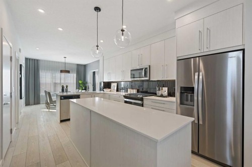 9941 Huxbury Drive Ne, Calgary, AB - Indoor Photo Showing Kitchen With Stainless Steel Kitchen With Upgraded Kitchen