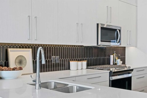 9941 Huxbury Drive Ne, Calgary, AB - Indoor Photo Showing Kitchen With Double Sink With Upgraded Kitchen