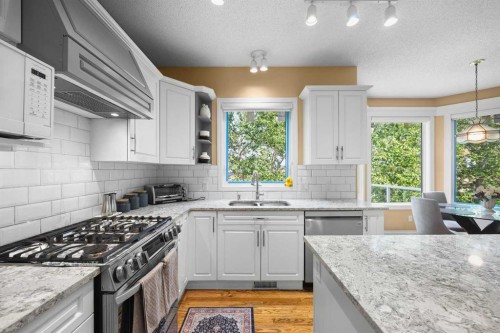 207 Hamptons Drive Nw, Calgary, AB - Indoor Photo Showing Kitchen With Double Sink With Upgraded Kitchen