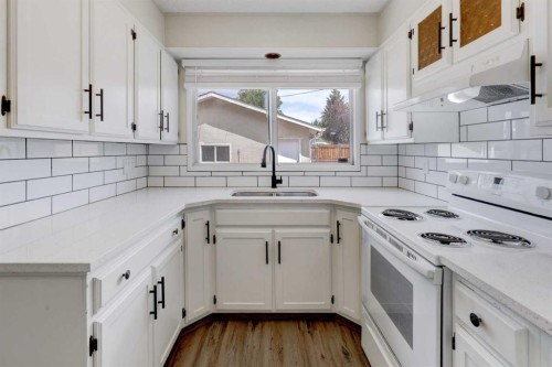 452 Queen Alexandra Way Se, Calgary, AB - Indoor Photo Showing Kitchen With Double Sink