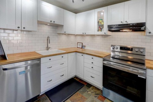738 Queenston Terrace Se, Calgary, AB - Indoor Photo Showing Kitchen With Upgraded Kitchen