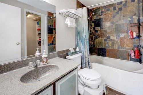 738 Queenston Terrace Se, Calgary, AB - Indoor Photo Showing Bathroom