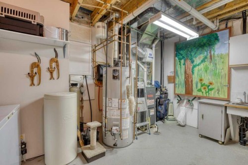 61 River Heights View, Cochrane, AB - Indoor Photo Showing Basement