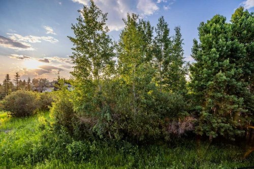 61 River Heights View, Cochrane, AB - Outdoor With View
