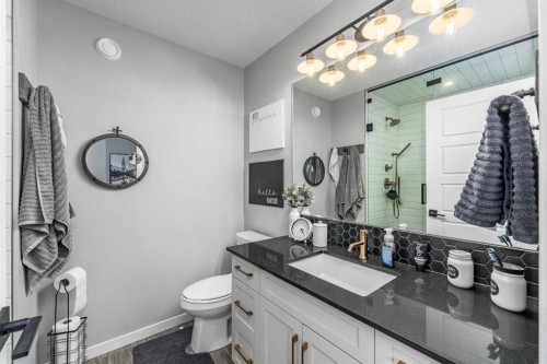 250 Belmont Heath Sw, Calgary, AB - Indoor Photo Showing Bathroom