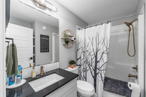 250 Belmont Heath Sw, Calgary, AB - Indoor Photo Showing Bathroom