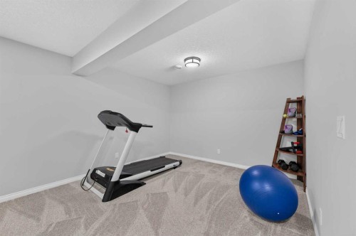 131 Cranarch Crescent Se, Calgary, AB - Indoor Photo Showing Gym Room