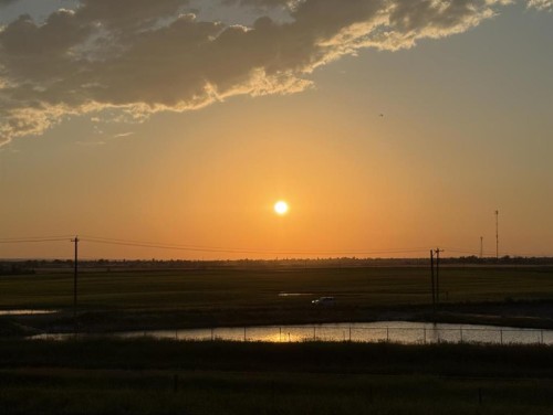 44 Duhram Way, Conrich, AB - Outdoor With View