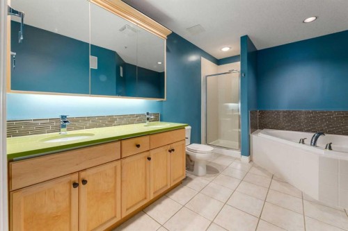 302-59 22 Avenue Sw, Calgary, AB - Indoor Photo Showing Bathroom