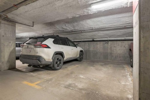 302-59 22 Avenue Sw, Calgary, AB - Indoor Photo Showing Garage
