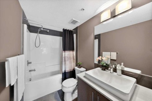 4203-302 Skyview Ranch Drive Ne, Calgary, AB - Indoor Photo Showing Bathroom
