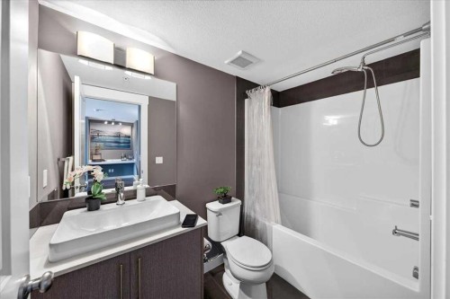 4203-302 Skyview Ranch Drive Ne, Calgary, AB - Indoor Photo Showing Bathroom