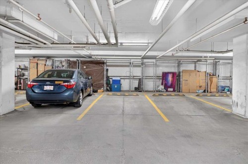 4203-302 Skyview Ranch Drive Ne, Calgary, AB - Indoor Photo Showing Garage