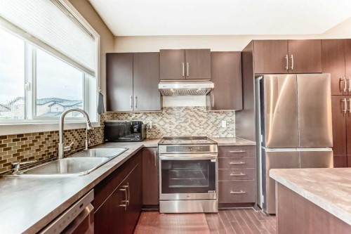 109 New Brighton Park Se, Calgary, AB - Indoor Photo Showing Kitchen With Double Sink With Upgraded Kitchen