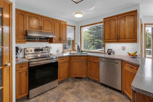 359 Schubert Place Nw, Calgary, AB - Indoor Photo Showing Kitchen With Double Sink