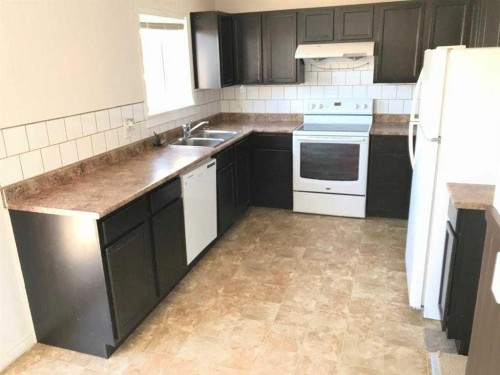 4820 60 Street, Calgary, AB - Indoor Photo Showing Kitchen With Double Sink