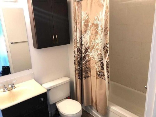 4820 60 Street, Calgary, AB - Indoor Photo Showing Bathroom
