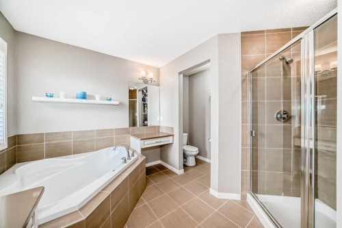 264 Auburn Bay Drive Se, Calgary, AB - Indoor Photo Showing Bathroom