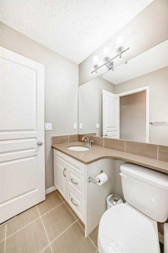 264 Auburn Bay Drive Se, Calgary, AB - Indoor Photo Showing Bathroom