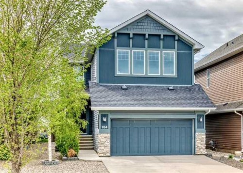 264 Auburn Bay Drive Se, Calgary, AB - Outdoor