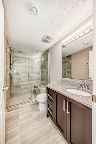 264 Auburn Bay Drive Se, Calgary, AB - Indoor Photo Showing Bathroom