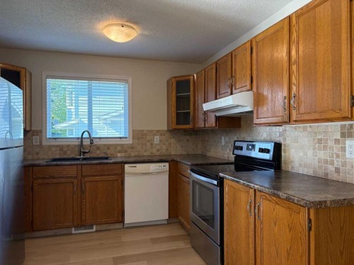228 Erin Woods Drive Se, Calgary, AB - Indoor Photo Showing Kitchen With Double Sink