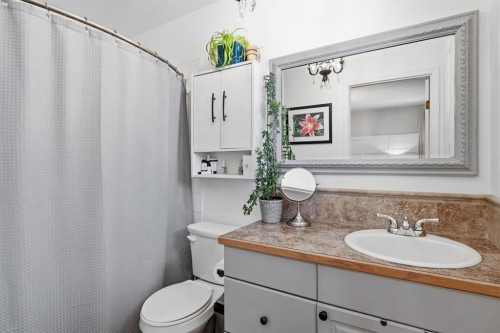 6206 Davis Place, Olds, AB - Indoor Photo Showing Bathroom