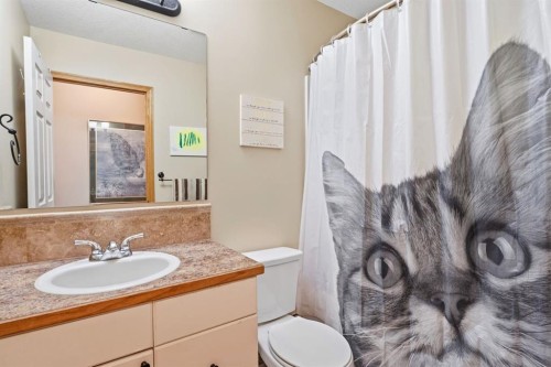 6206 Davis Place, Olds, AB - Indoor Photo Showing Bathroom