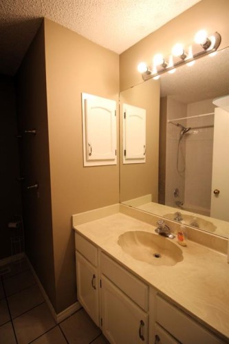 112 Macewan Meadow Crescent Nw, Calgary, AB - Indoor Photo Showing Bathroom