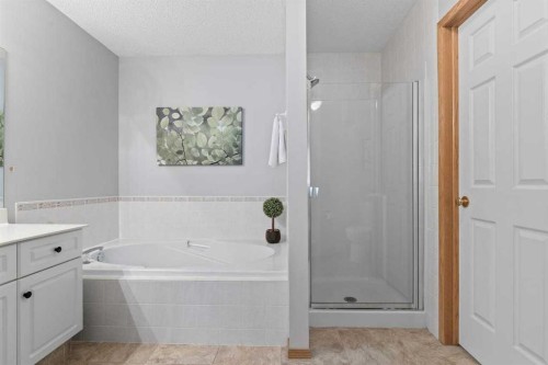 26 Chaparral Close Se, Calgary, AB - Indoor Photo Showing Bathroom