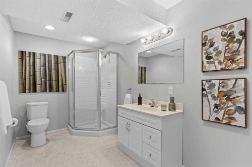 26 Chaparral Close Se, Calgary, AB - Indoor Photo Showing Bathroom